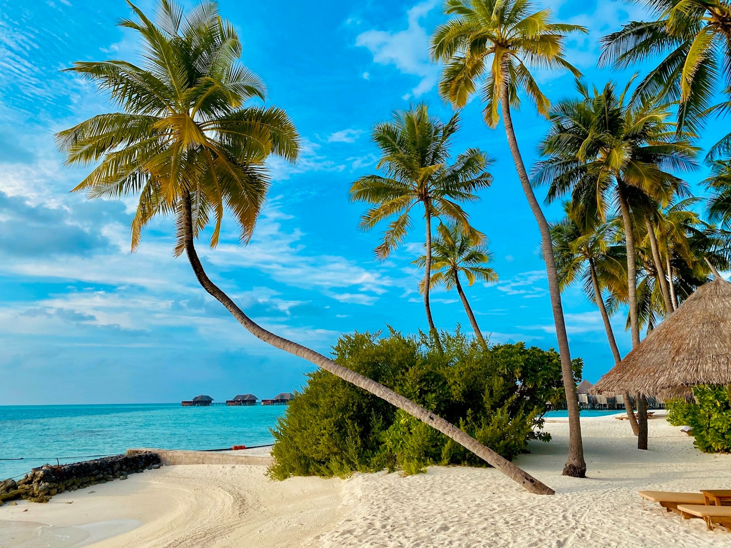 How to Make the Most of Caribbean Festivals